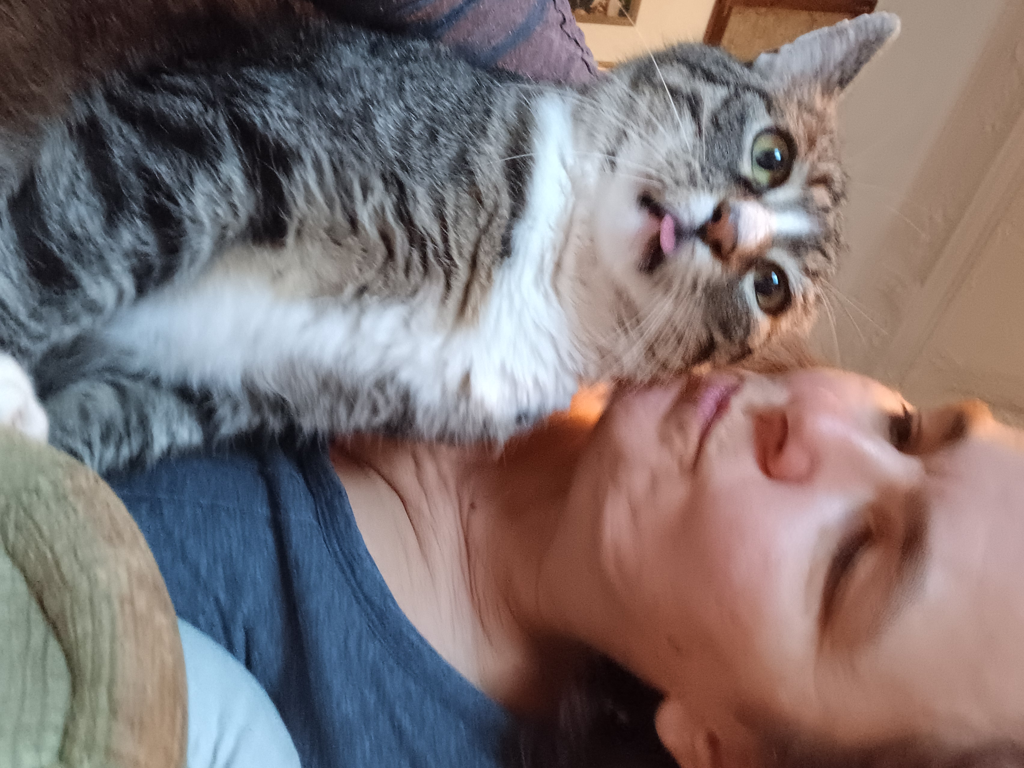 Maria Weidinger spricht mit einer Katze